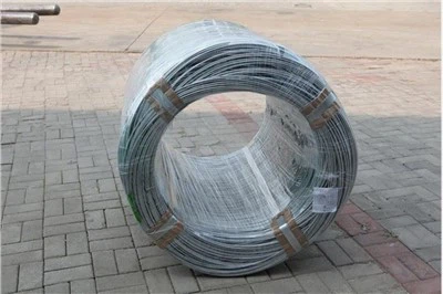 Galvanoitu teräslanka verkkoon